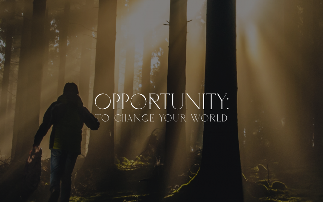 Opportunity: To Change Your World